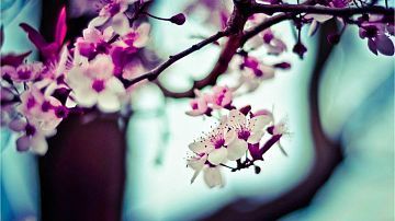 ����� ������ ����, ���� 18: �������� ����� ��� ������ �� ������