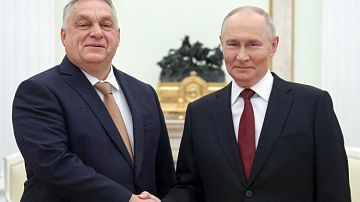 ����� �������� ��� �������. ������ � ���������