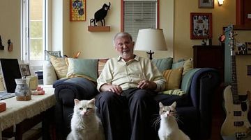 ������� ������� ��������: ����������� ������������ � ����������� ����� 80 ��� 