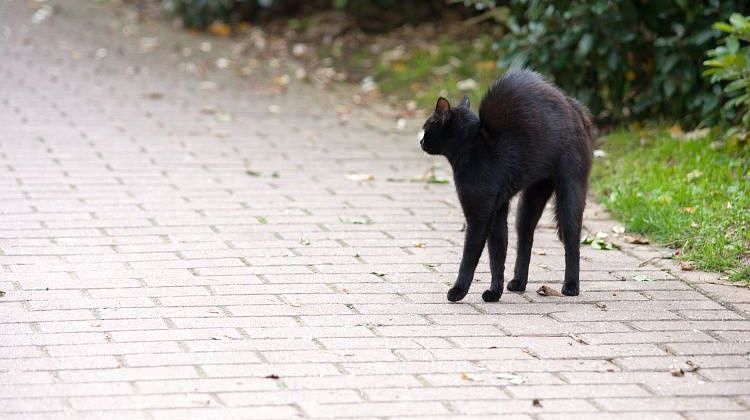 ��� ������ ������ � �������, 13-�: ��������� ���