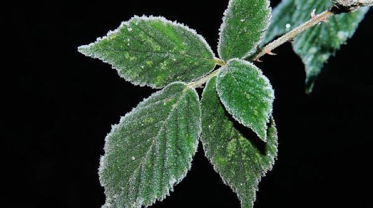 �� ������ ���� ���������: �������������� ���