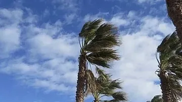 �� ���� ����������� �����: �����, �������� ���� �� ���� ������ � ������� ����� �����