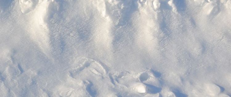 ������ ��������, � ����� ������! ����� ������ ���������� �������������� �� ��� ������