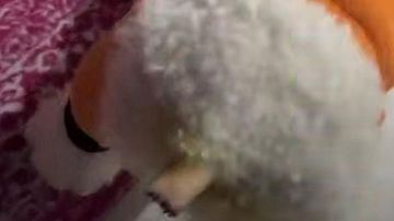  ������ �������� ��� ������ ����� ������� � ������� 