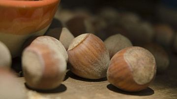 ����� ��� �������: ��� ����������� ������ �� ������ �������