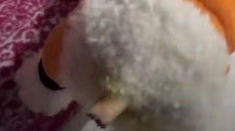  ������ �������� ��� ������ ����� ������� � ������� 