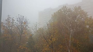 ��������� ���� �����: �������� ���������� �������� � �������������