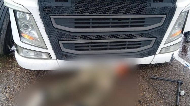 ������� ������ �� ����� ������! ���� ��������� ��������: �������� ������