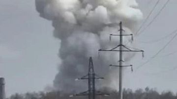 ������! �������� ���� �� ����������� � ���������, ������ � ������ � ��������