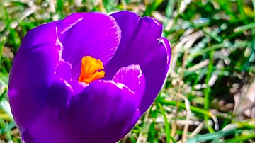 �����! � ����� ��������� ������ ������� � ������ ������ �� ����������� ���������� 