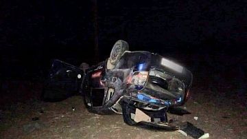   :      