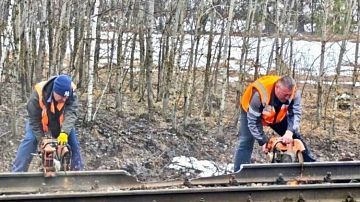 ��������� �������! � ���� ��������� ���� ������, ��-�� �������� ��������� ��������