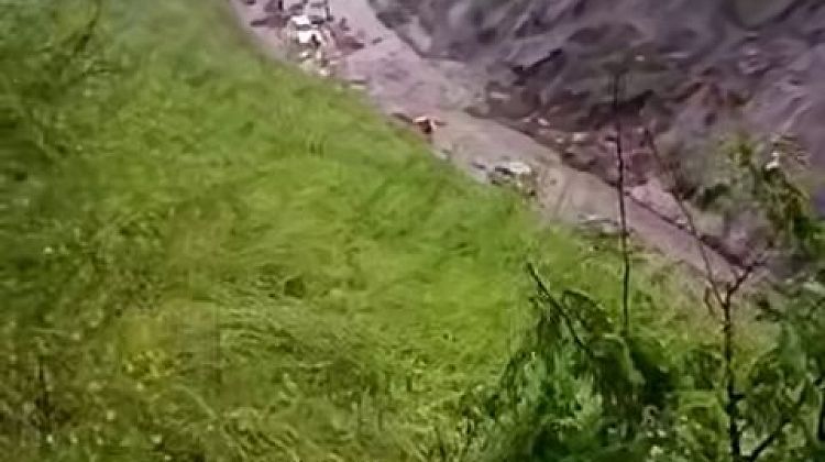 ����� ����� ��� ����� �� ������: ������ �������� ����� ������� �������