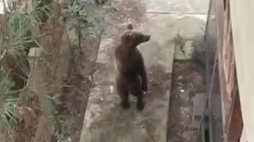      :      