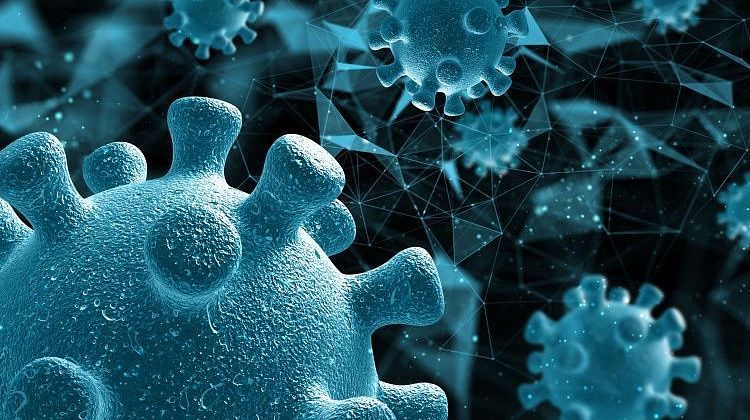 ���! ����������� ����� ����� ��������� � �����: ������ ����������������