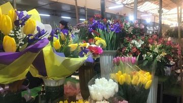 ������� �����: ����� ����� �� 8 ����� ����� ������� �������� � �������� �����