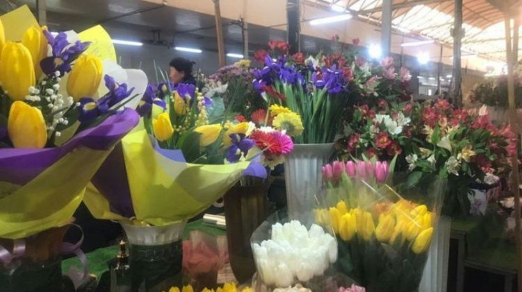 ������� �����: ����� ����� �� 8 ����� ����� ������� �������� � �������� �����