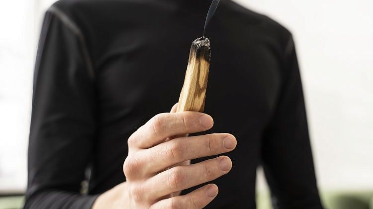 ���� �����: ������� ����������� ������� � ������� �������������