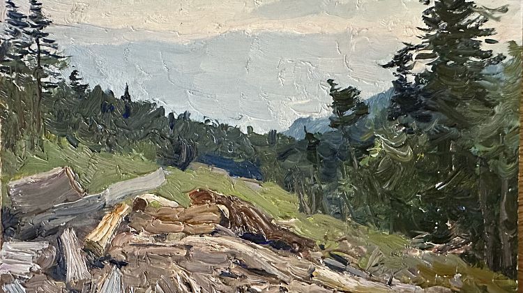 В красках родного края: уникальные работы Григория Булгакова впервые на выставке "Сантал" В красках родного края: уникальные работы Григория Булгакова впервые на выставке "Сантал"