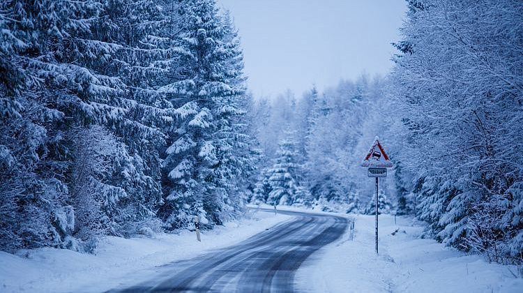 ������ ������, �������� ������: ���������� �������� �� ������