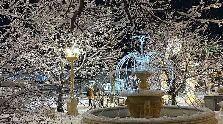 ������� �������� � ����: ��� ���������� � ������� �� ������