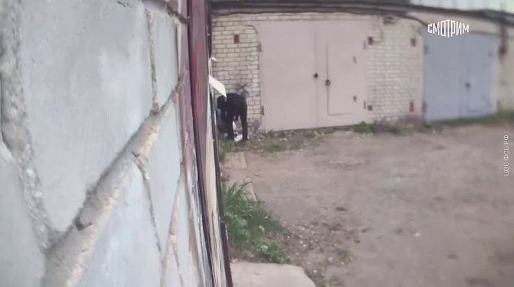   :        