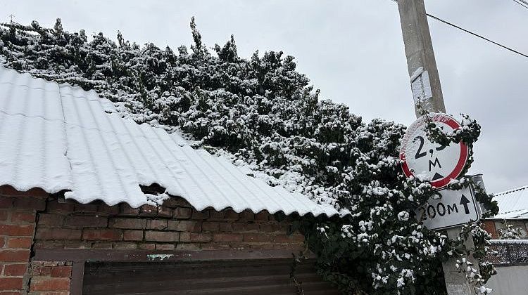 ������������ ���������� ��� �� ������: ���� ���� �������