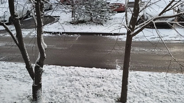 ���� � ����������: �� ���� ��������� ������������� 42 ����� ��������� 