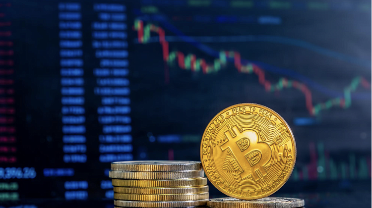 � ���� ����������� ���� ��������� ���������: �����������