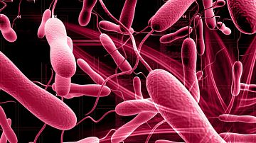  ������ ������! ��������������� ������������ �������� ��������� ���������� � �������� ����������� 