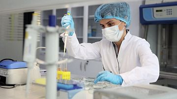 ������ ������ ������������ �� ������: �� ��������� ����� ����� ��������� ������� �� 252