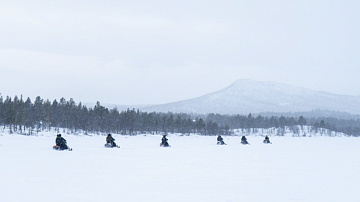 �������! � �������� ���� ���������� ��������� ��������, ���� ��������