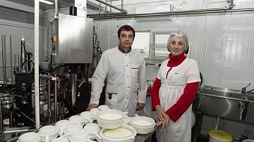 Все о молоке с частных подворий Кубани: впечатления, цифры и рекорд по ЮФО