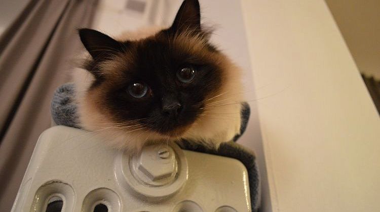 ����� ��� ����� � �������������! ������� ����� 20 �����������, ������� ���, �����, ���������