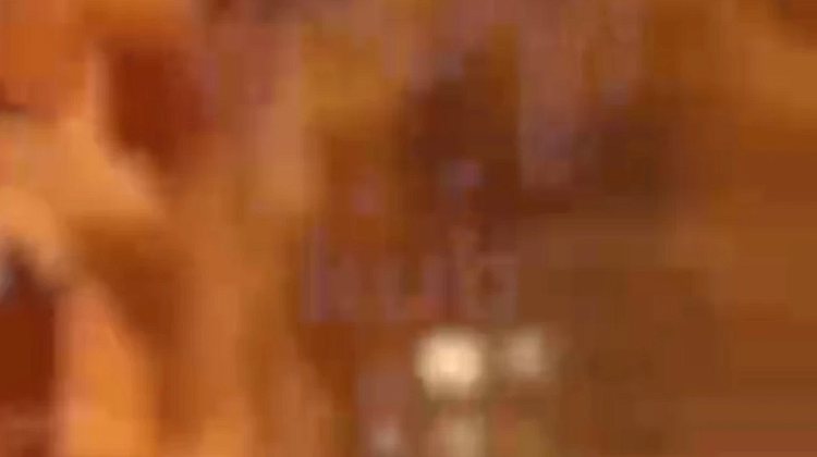 ����� ���� �� ������!  ����� � �����������, 8 ������������, � ��� ����� �������