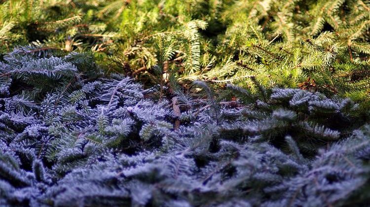 ������ �� ������ � ��������� ��� ������� � � ������ ������� ������ ����: ��� ����������� ��� �����?