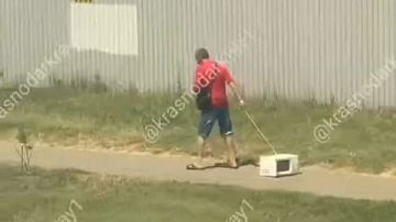 :     ,     