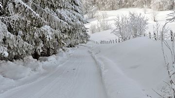 ����������� �� ������: ��������� ����� � ���� ��������� ���� ��� �����, ����� � ����