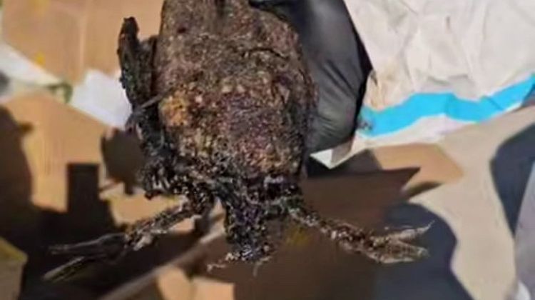 ������ ���������, � �����... �����! �������� ����������� ���� � �����