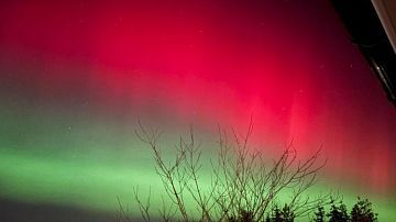 ������ �� ���� ������ ��� ���! ���� ��������� �������� ��� ������� ��������� ����: ��� �� ����������? 