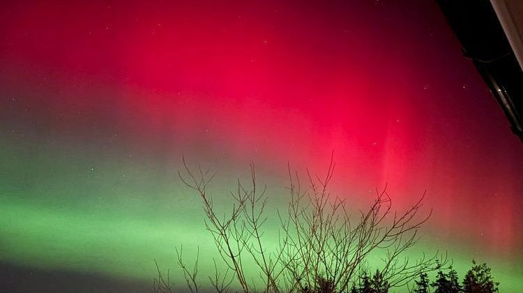 ������ �� ���� ������ ��� ���! ���� ��������� �������� ��� ������� ��������� ����: ��� �� ����������? 