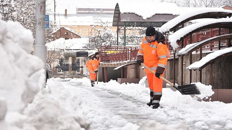 Краснодар Угости Ком Новогоднее Предложение