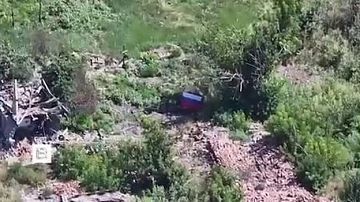 ���� �� ���� � ��� ����� �� ����: ��� ��������� � ���� ��� 24 �������