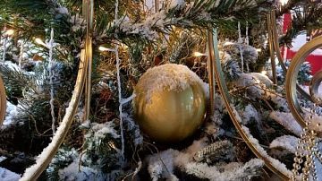 ������� ������� �������: � 2026-�� ���� � ���� "��������� �����"