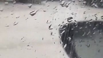  ����� � ������ ������ ������� ����� �����