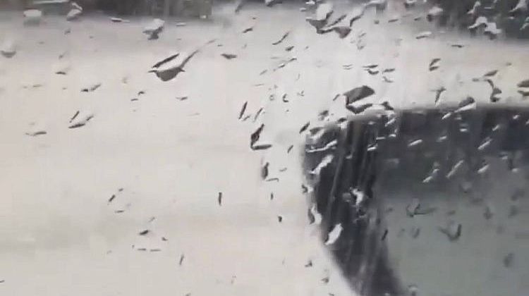  ����� � ������ ������ ������� ����� �����