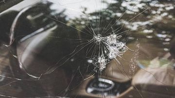 ��� � ������ ����! �������� ��������� ��������� � ����� ����� � ��������