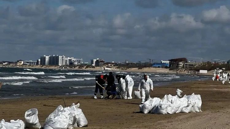 ������, �����! ����������� ���� �����: ��� � ������� ����������