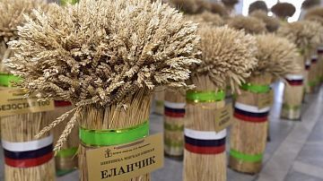 ���������! �������� ����� ������: ��� ������� �������� �� ��� ������ 