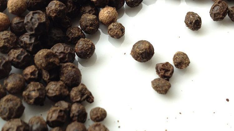 ������ ����� - ������ �������������! ����� ������ ��� ��� �������� � ��� ��������� ������������